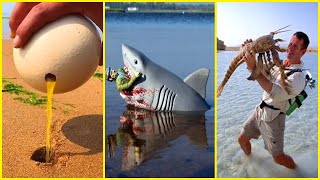 Catching Seafood 🦂🦀🐙 ASMR Relaxing 🦈Catch Shark 🐟 Catch Fish 🐠Deep Sea Monster (Tik Tok #1300)