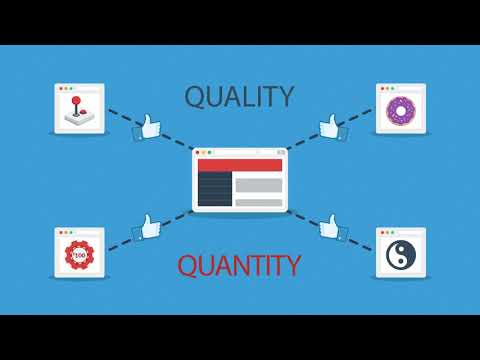 seo expert