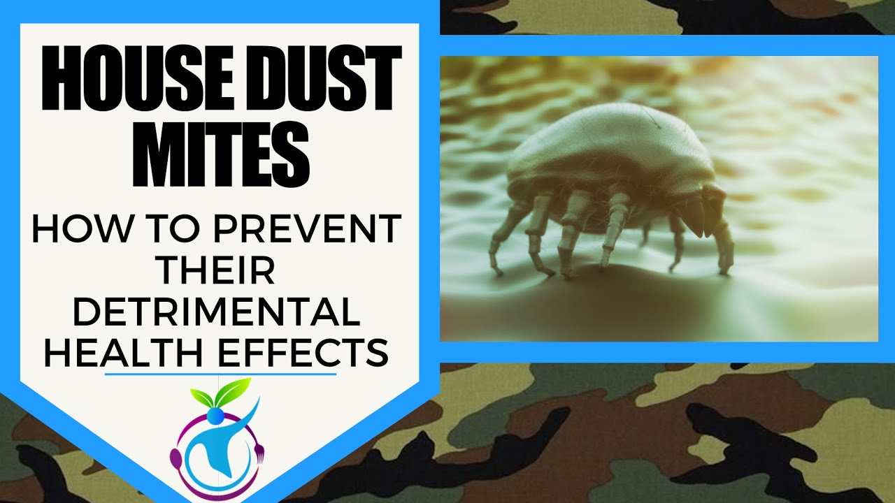 HOUSE DUST MITES Preventing Detrimental Health Effects YouTube