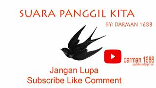 Suara Panggil Kita Original BY DARMAN 1688 - SP Walet Respon Terbaik Terbaru 2020 - Gratis Download