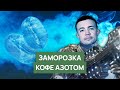 Заморозка кофе азотом | Влияние на вкус, сравнение помола