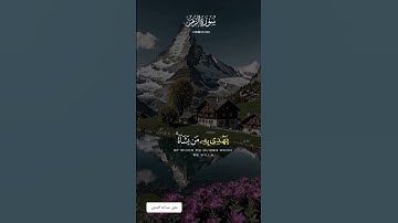 سورة الزمر تلاوة الشيخ ماهر المعيقلي #قران #اكسبلور @علويعبداللهالقحوي