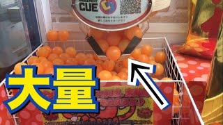 1回300円のたこ焼きキャッチャーで金の福袋獲ってみた Ufoキャッチャー Youtube 1回300円のたこ焼きキャッチャーで金の福袋獲ってみた Ufoキャッチャー Youtube