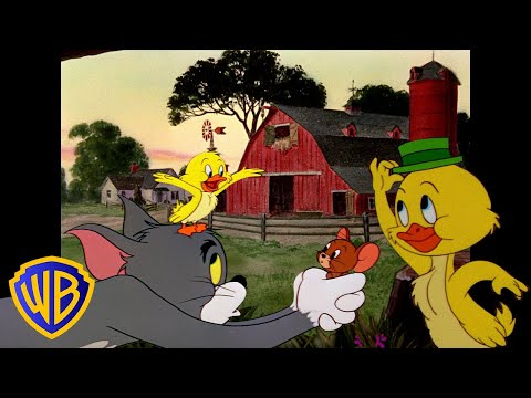 Tom et Jerry en Français 🇫🇷 | Coin-coin, c'est Little Quacker ! 🐣 | WB Kids Français​