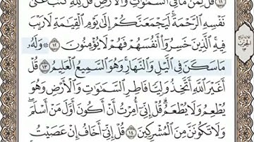 سورة الانعام الصفحة 129 الشيخ محمد صديق المنشاوي