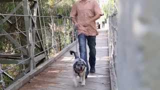 Sounds Of Suspension