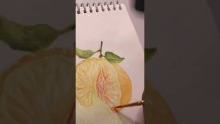 Orange Fruit Acrylic Painting Part-1