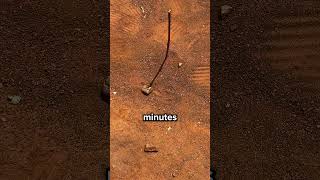 If You’re Lost, Use The Sun