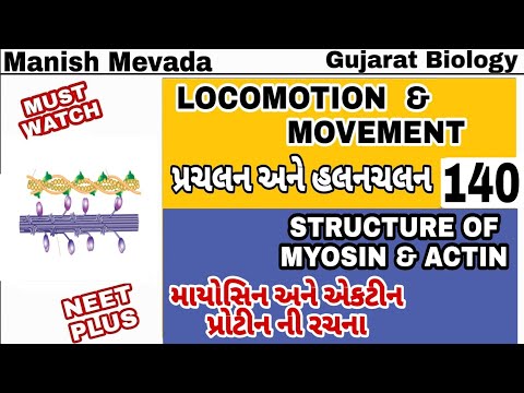 STRUCTURE OF  MYOSIN & ACTIN IN GUJARATI || માયોસિન અને એકટીન  પ્રોટીન ની રચના