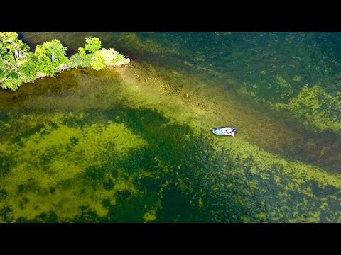 Bass fishing incredibly clear water- sight fishing