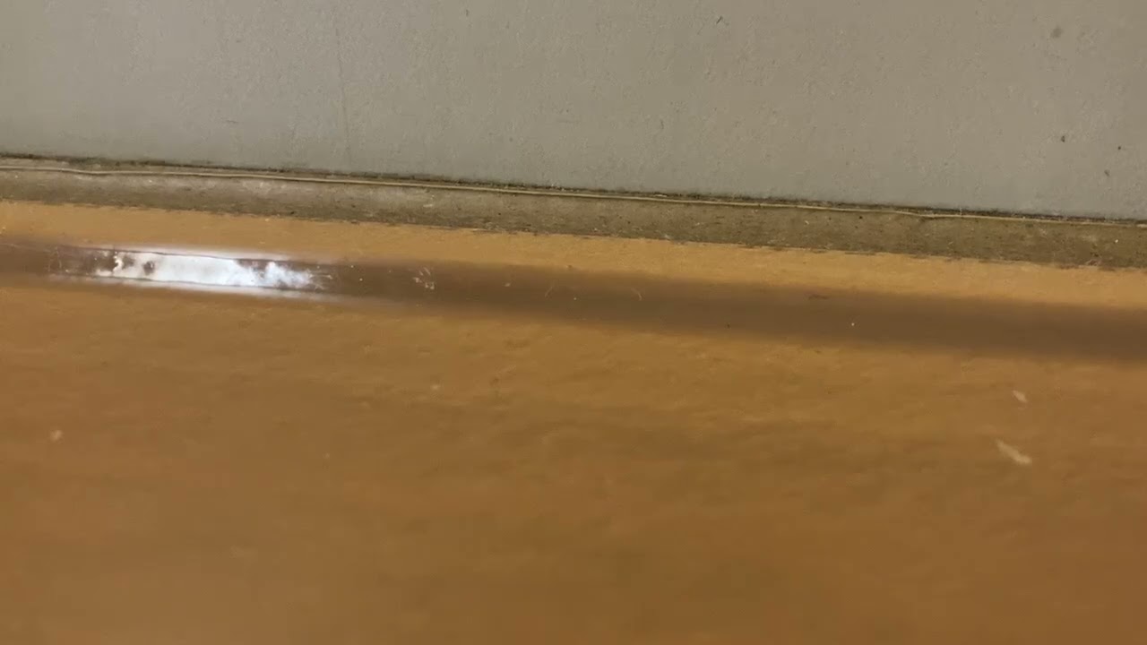 2024年6月11日発、上りサンライズ号運転打ち切りアナウンス