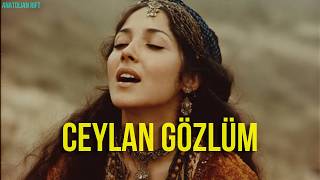 Ceylan Gözlüm Psychedelic Anatolian Rock Cover