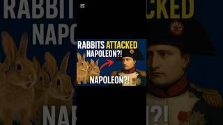Rabbits ATTACKED Napoleon?! 😂