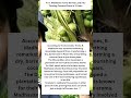 🌴 R. Madhavan Turns Barren Land into Thriving Coconut Farm in 3 Years