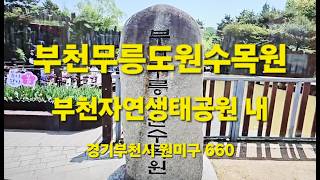 부천무릉도원수목원 영상