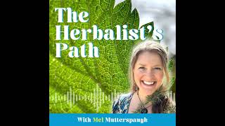 Download Lagu Learn to Think Like an Herbalist, Not Just Memorize Herbs Download Lagu Learn to Think Like an Herbalist, Not Just Memorize Herbs