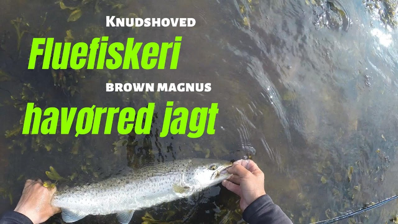 Jagten på OVERSPRINGEREN S1-E36