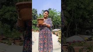 বরমশাই এটা কি বানিয়ে দিল🧐 #youtubeshorts #garden #gardeningflowers #plants #structure