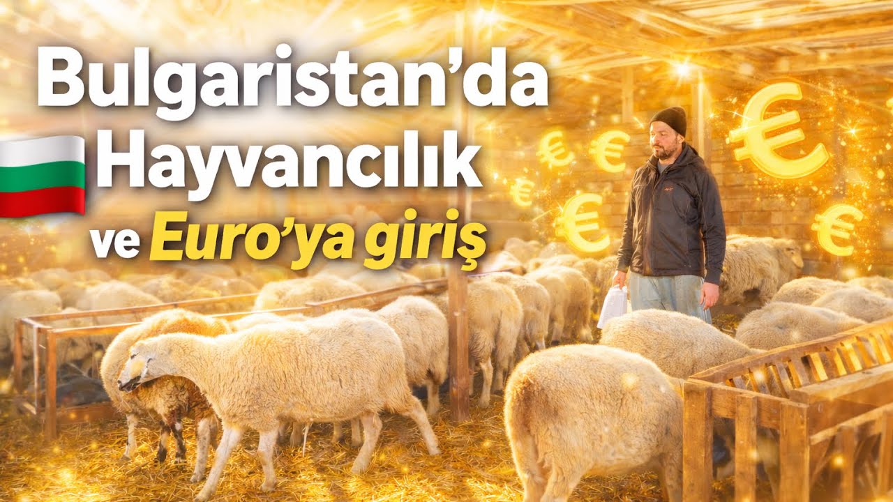 Bulgaristan’da Çiftçilik~ Euro’ya geçiş süreci~ Köyde yaşayan genç çift