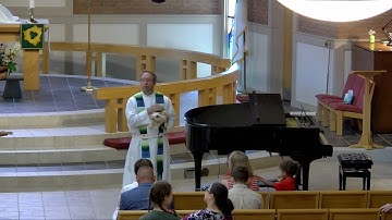 Plotinus (Tiny) the Pig Sixth - Sunday After Pentecost 2024