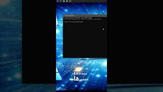 ¿Internet lento o no cargan las webs? Hacé esto (Flush DNS) 🌐