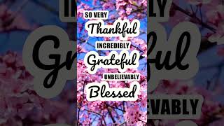 #Thankful #Quotes  #Shorts  #Trending #Viral #Lifequotes #Inspirational #Blessed #Blessings