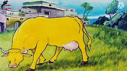 قصص القرآن الكريم | القصة الأولي | بقرة بني إسرائيل