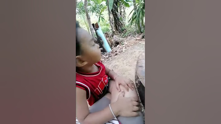 น้องคาโต้​ | มดโดนหนามตะบองเพชรเสียบ