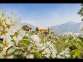 Urlaub auf dem Bauernhof in Südtirol - Roter Hahn: Greiterhof in Lana