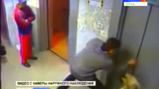 Man Saves Dog From Being Hanged In The Elevator