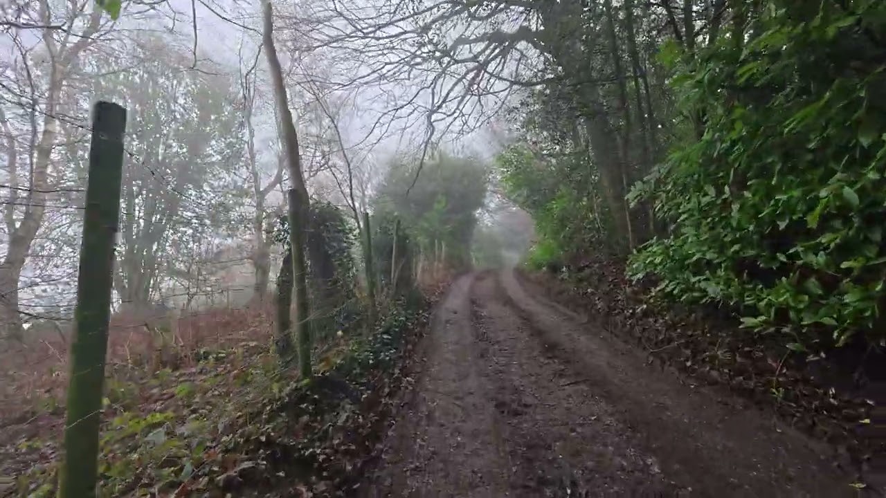 Explore Knole Deer Park (in 4K)