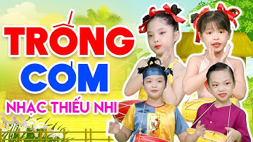 Trống Cơm - Nhạc Thiếu Nhi Vui Nhộn Cho Bé Ăn Ngon - Tình Bằng Có Cái Trống Cơm