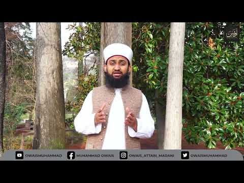 Video: Chi è l'attuale califfo dell'Islam?