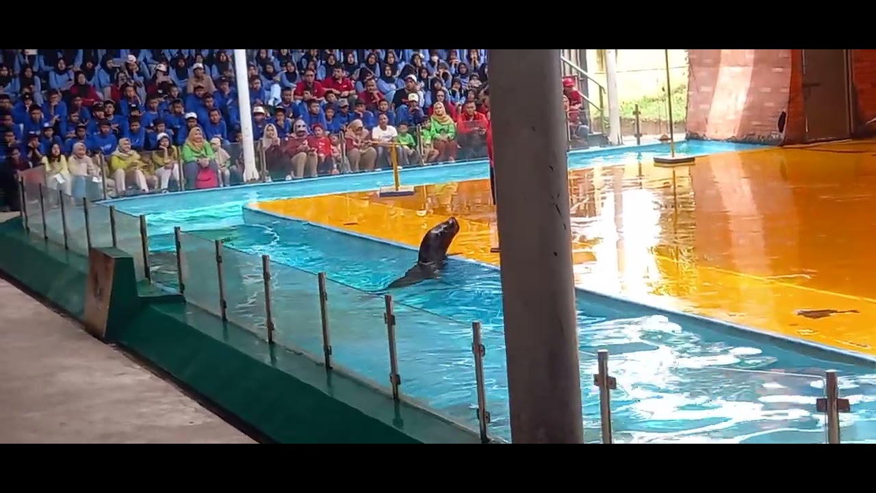 Catatan ahir sekolah