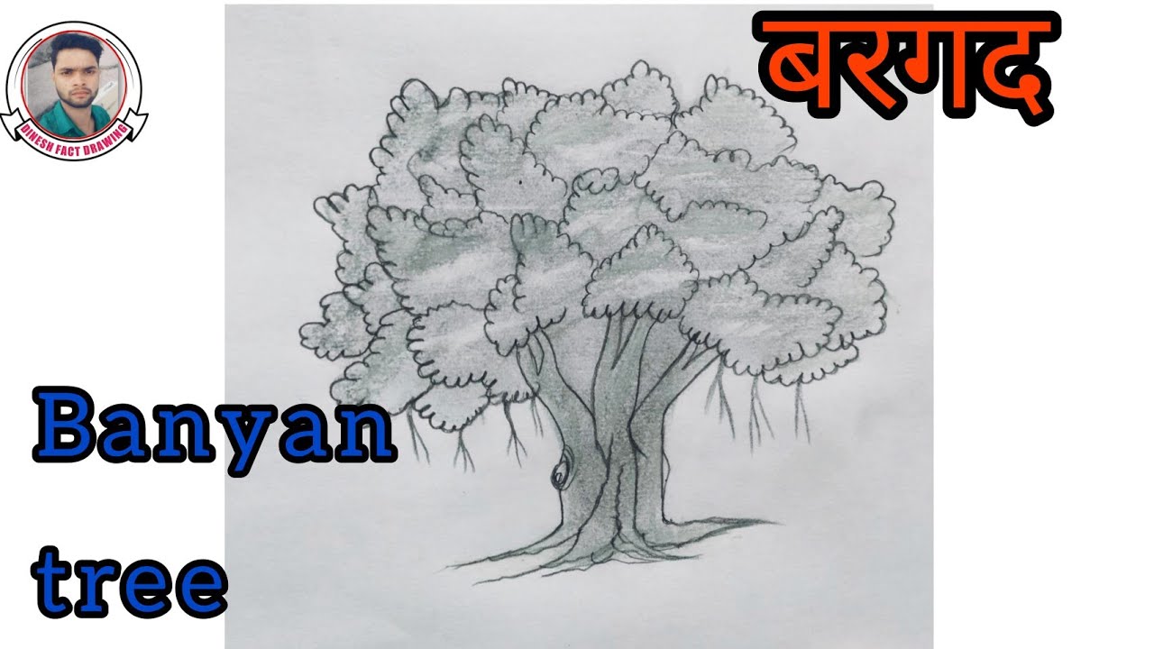 How to draw banyan tree | Banyan tree drawing step by step | Banyan tree  drawing with colour - YouTube