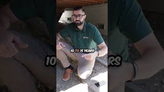 Steel Vs Wood Which Lasts Longer?