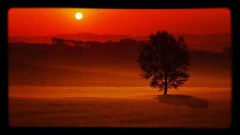 تلاوة مريحة يخشع لها القلب💚 القران الكريم 💚 بصوت جميل جدا جدا