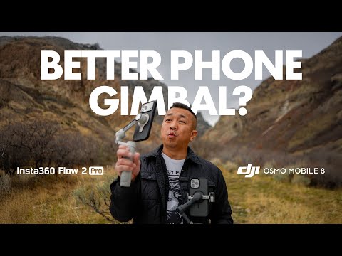 360  2      8      2025