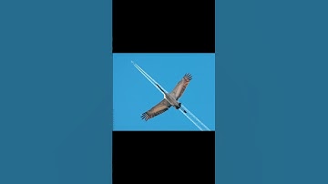 perfect things part 10#music