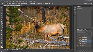 Remove Objects in Photoshop 4 Different Techniques