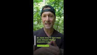 Lyme Disease Healing Journey: How I Supported My Body Before Getting Test Results