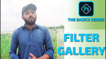 8- Filter Gallery in Photoshop (Complete guide in Urdu / Hindi) - The Basics Series