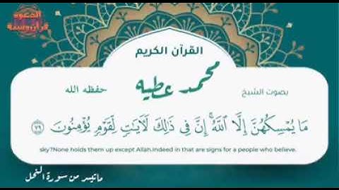 تلاوة خاشعة من سورة النحل القارئ محمد عطيه حسانين