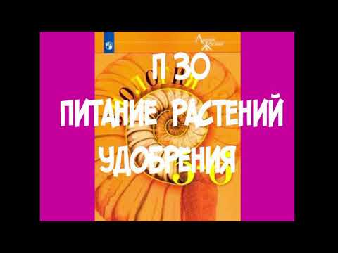 Видео: Защо боровинките са полезни - свойства на зрънцето и възможност за приложение