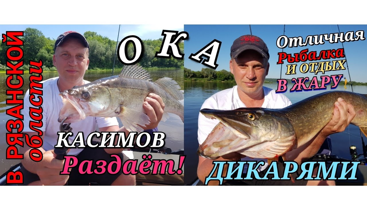 Отдых на оке дикарем