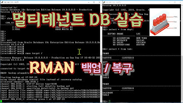 멀티테넌트 PDB RMAN 백업,복구 실습