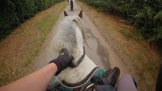 Canter hack on milky bar!