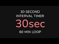 30 Second Interval Timer | 60 Min Loop | Workout, HIIT, Fitness, Training, Sport