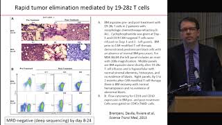 Therapeutic T cell engineering: CD19 CAR therapy and beyond