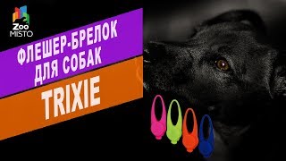 Флешер-брелок для собак Trixie | Обзор флешер-брелок для собак Trixie